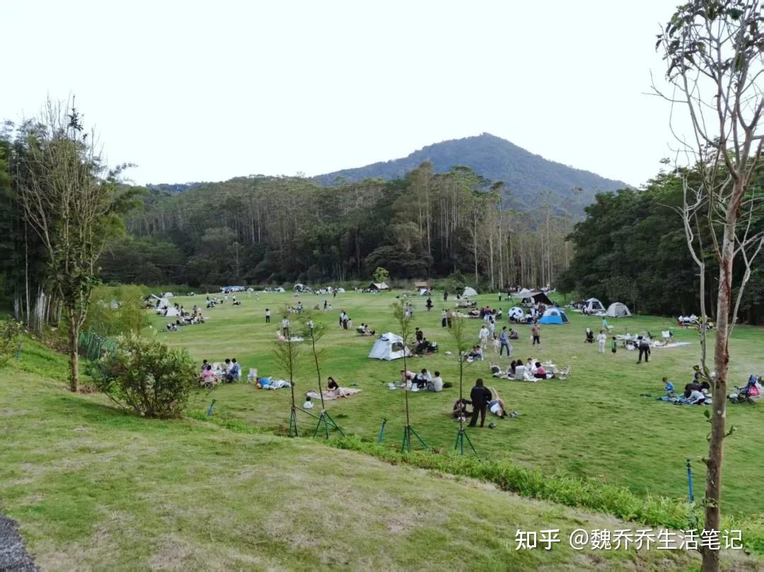 广州周末遛娃有哪些好玩的地方推荐? - 知乎