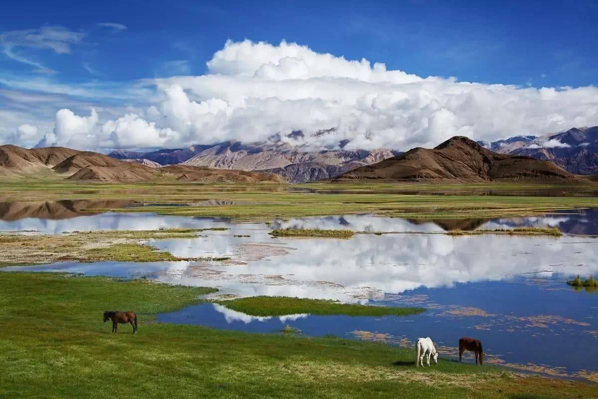 每个月的西藏有什么看点？不同月份西藏景点推荐，遇见最美的西藏 - 哔哩哔哩