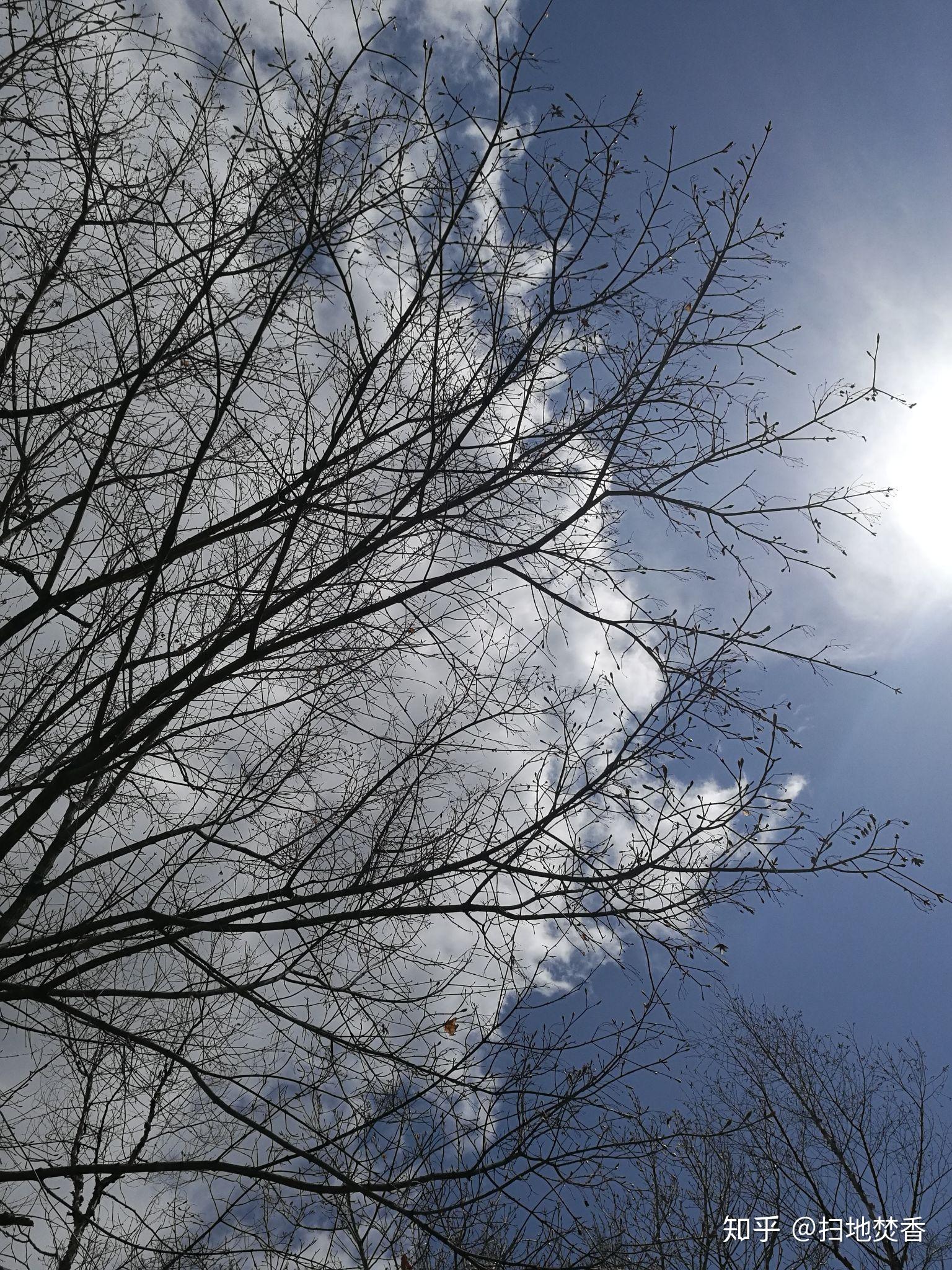 驻留在你人生里美好的光景你即刻想到的都有哪些呢