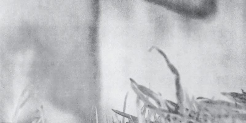 Zhihu banner for @unbeknownst