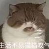 桃养人 杏伤人 李子树下埋死人 的科学依据是什么 知乎 桃养人 杏伤人 李子树下埋死人 的科学依据是什么 知乎