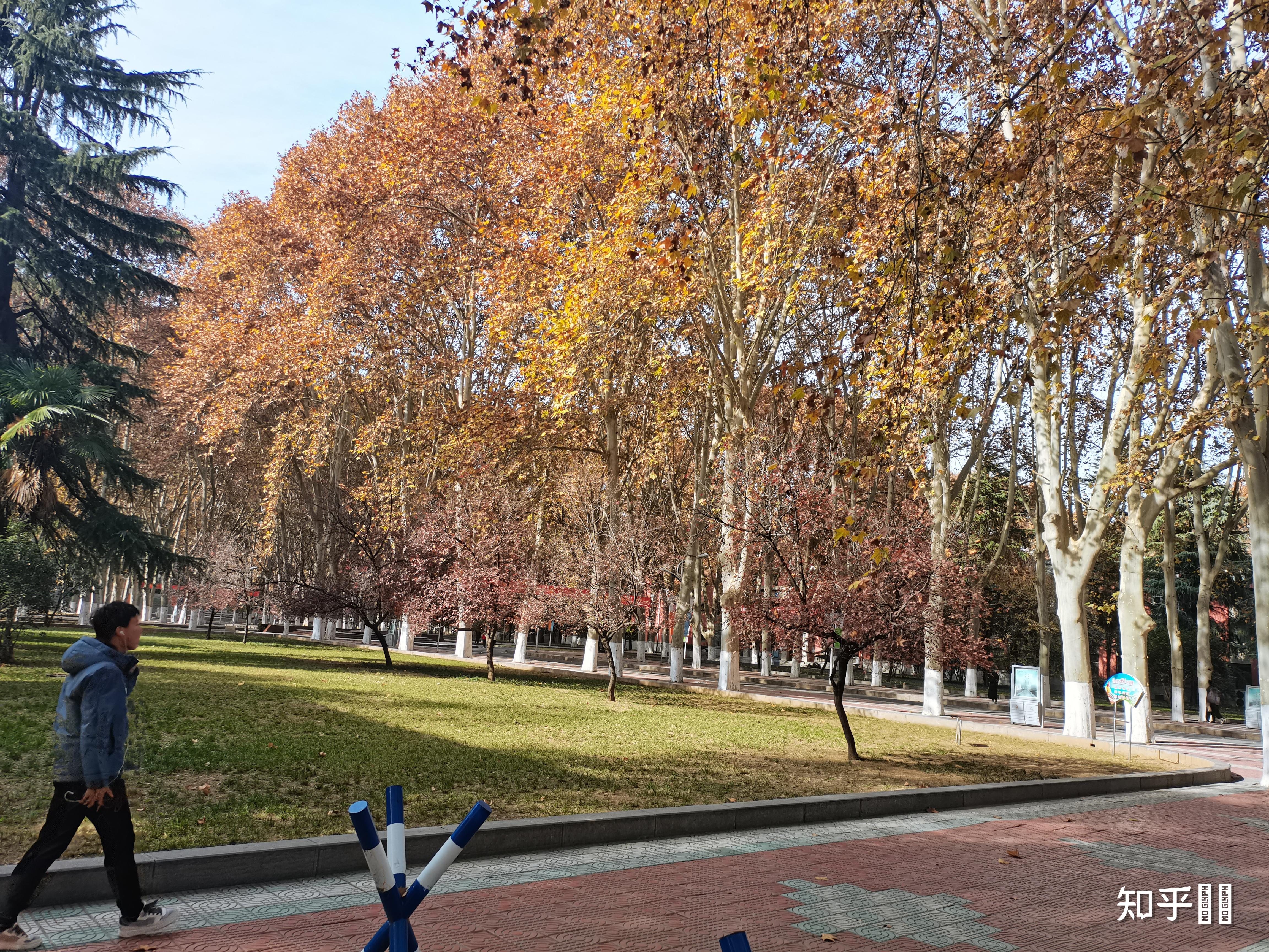 刚被郑州大学信息安全专业录取请问北校区真的很差劲吗