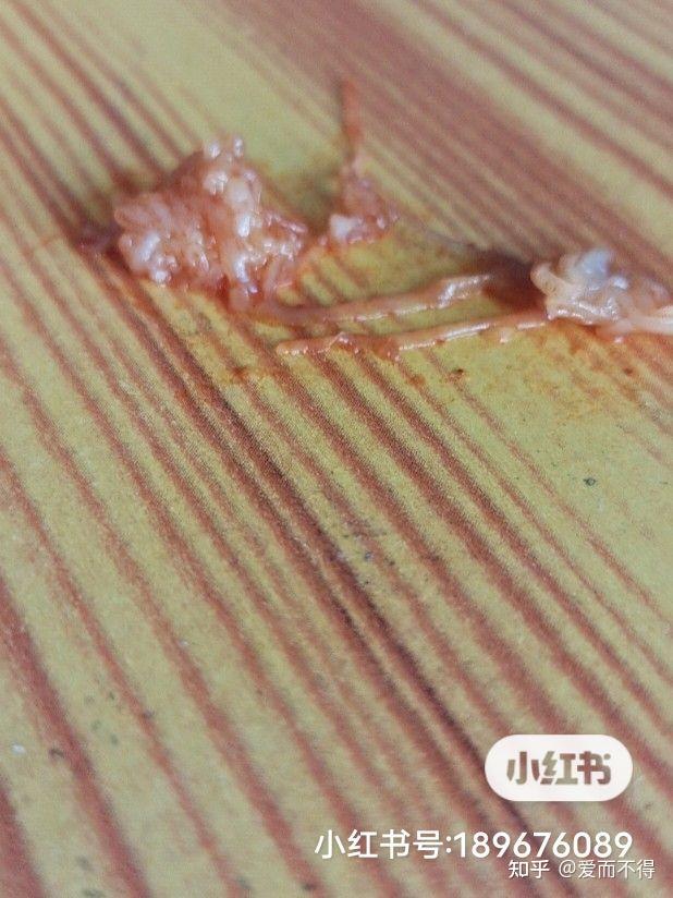 买了两包火鸡面煮出来以后恶心的吃不下