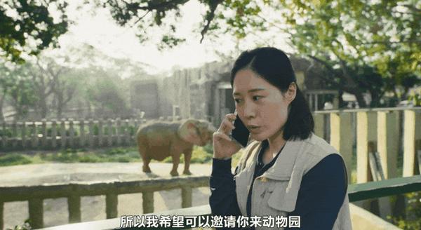 《动物园》豆瓣7.6,华语剧又出黑马!