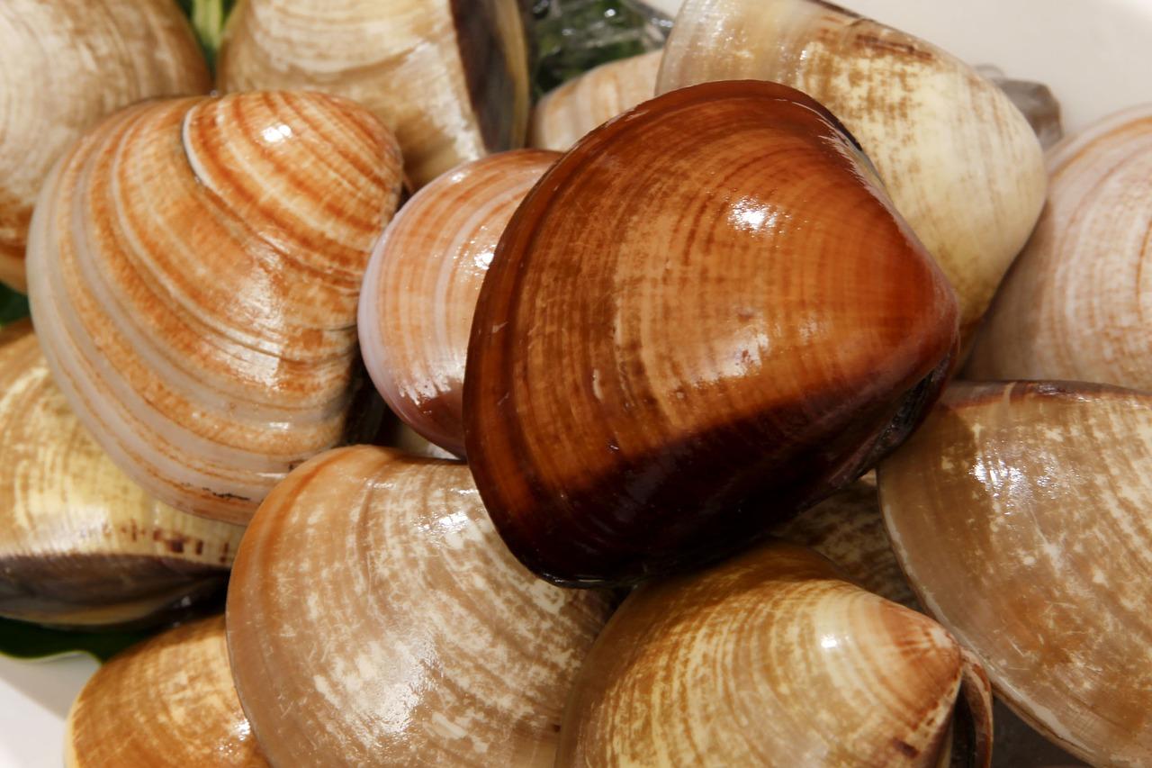 玲珑海鲜怎么样