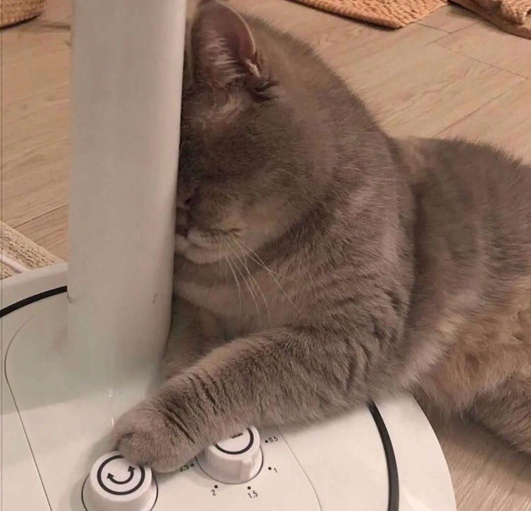 130张超好看的微信头像-好看微信头像男2021