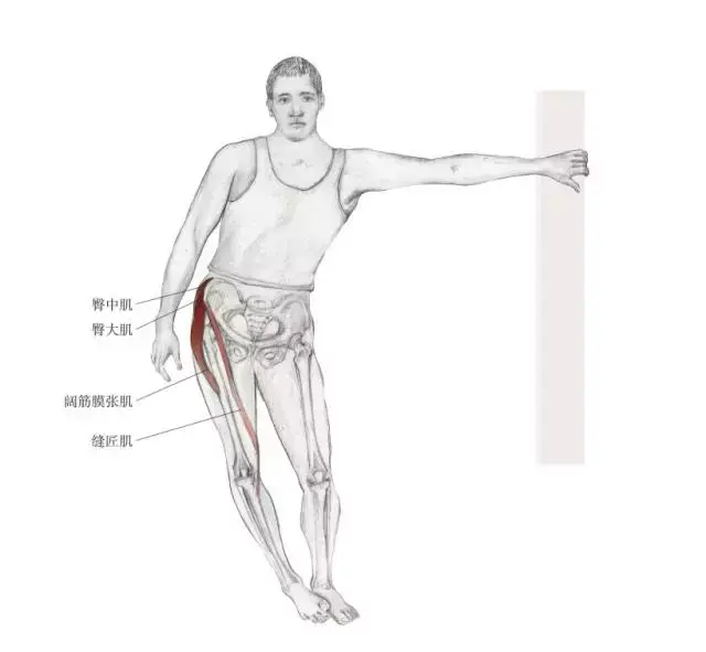 倾斜的外展肌拉伸02>> 有助于修复:大转子滑囊炎,髂胫束摩擦综合征.