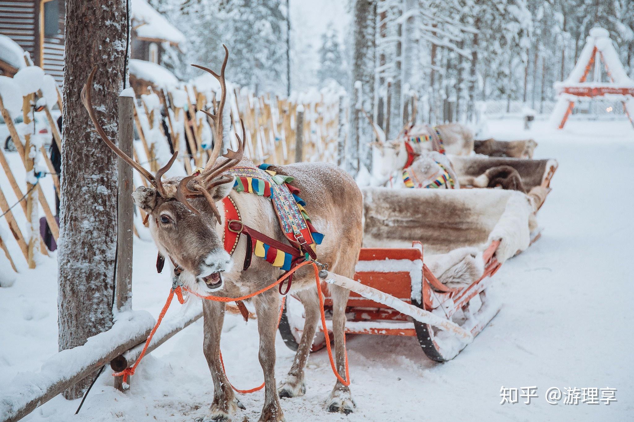 去芬兰游玩,可千万不能错过雪地圣诞村,圣诞老人村是一组主打圣诞特色