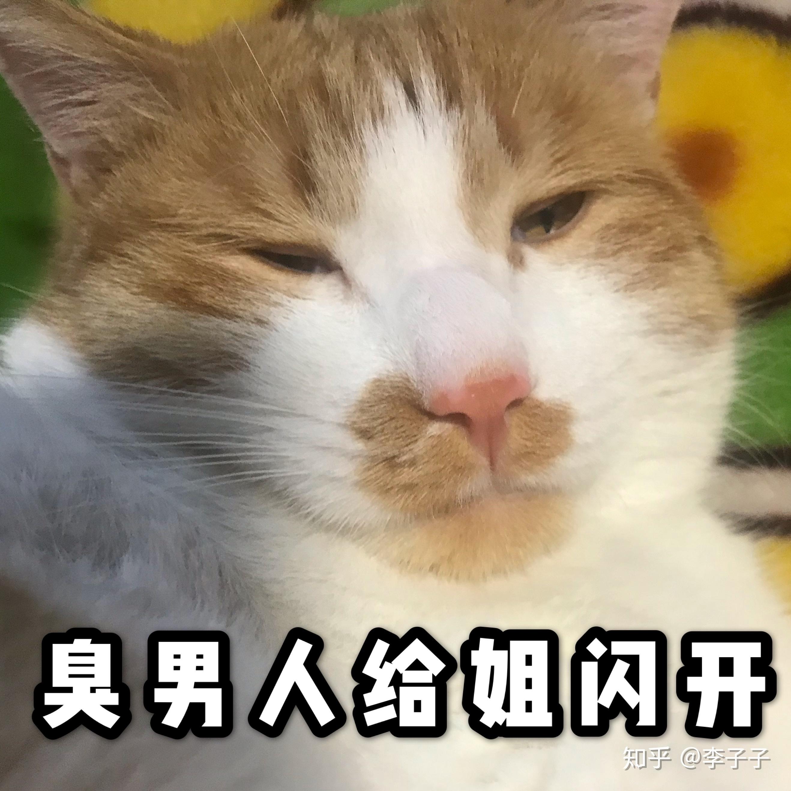 v2-f73375a5b7858a35116a46c4e0064d1c_r.jpg