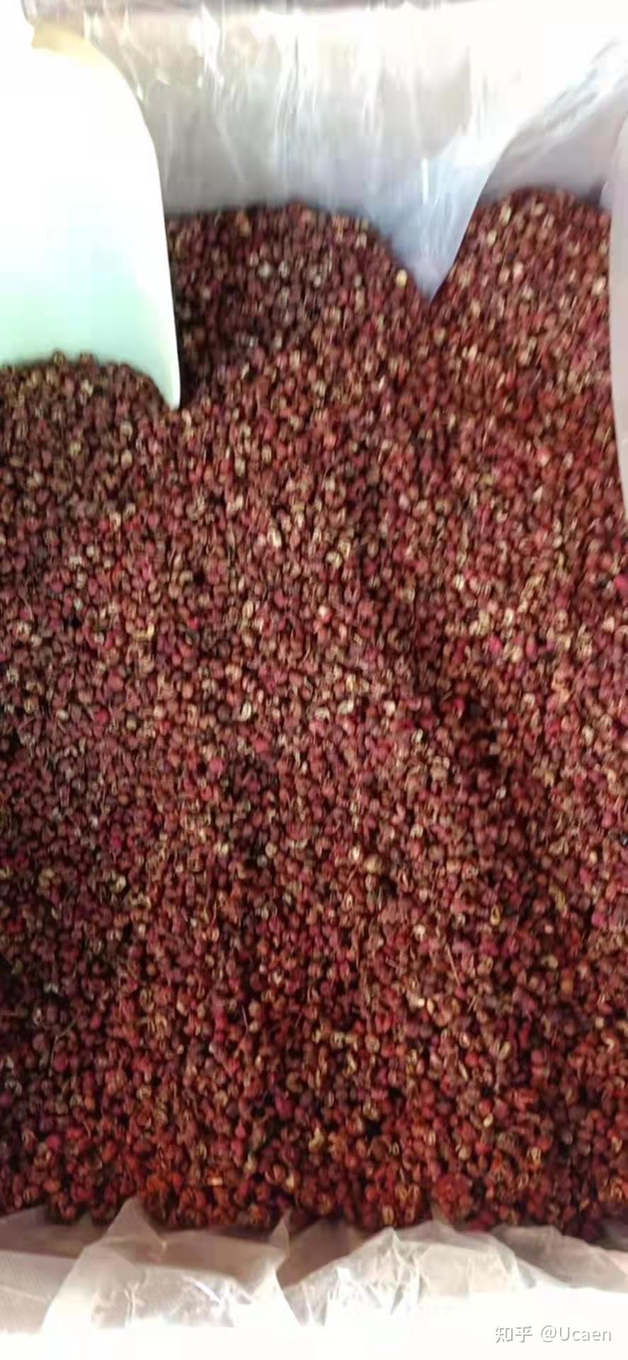 天津蓟县蓟州特产水果各种山货