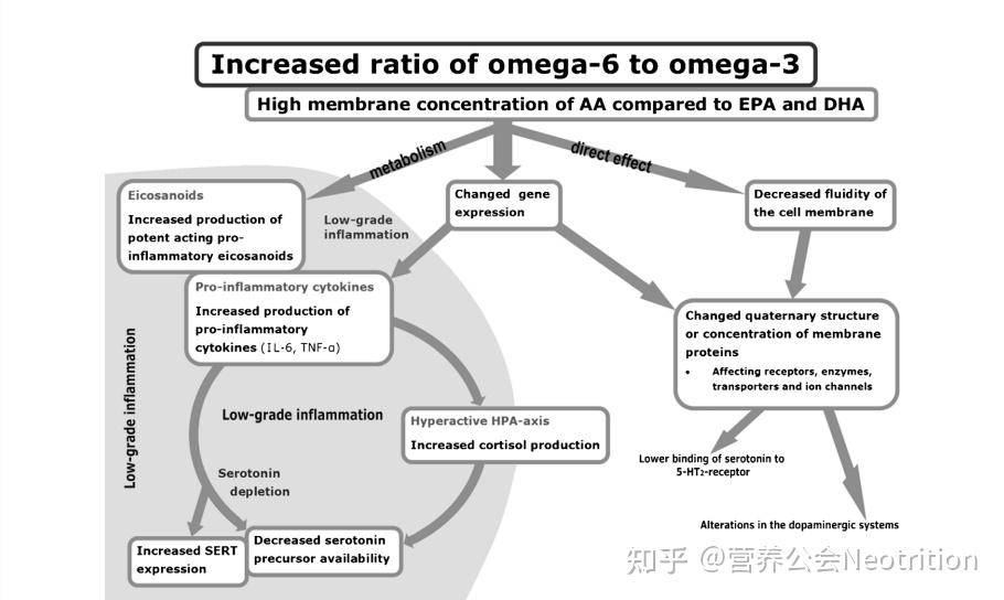 Omega3改善心理健康 知乎