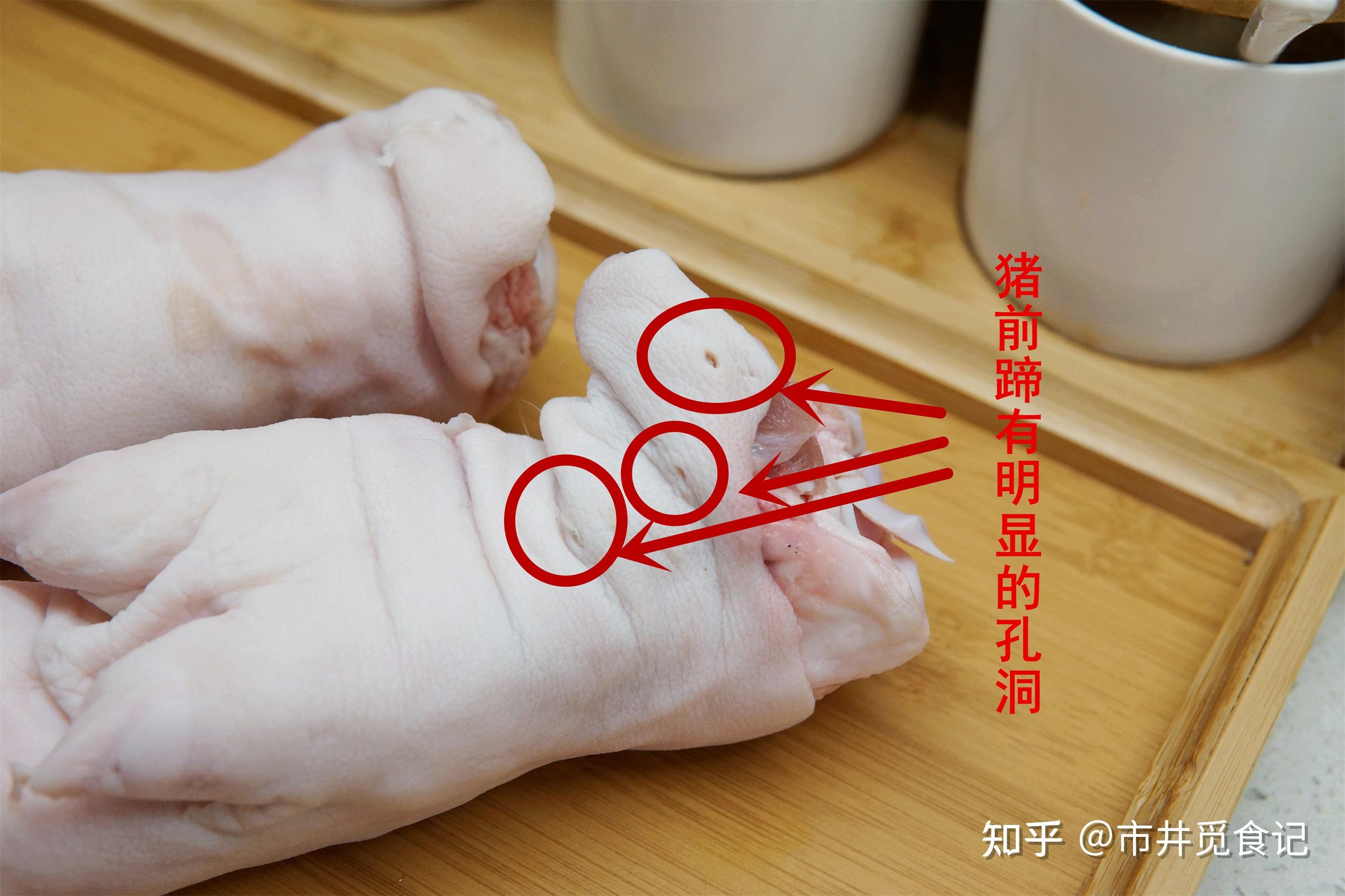 猪的前蹄和后蹄怎么区分？ - 知乎
