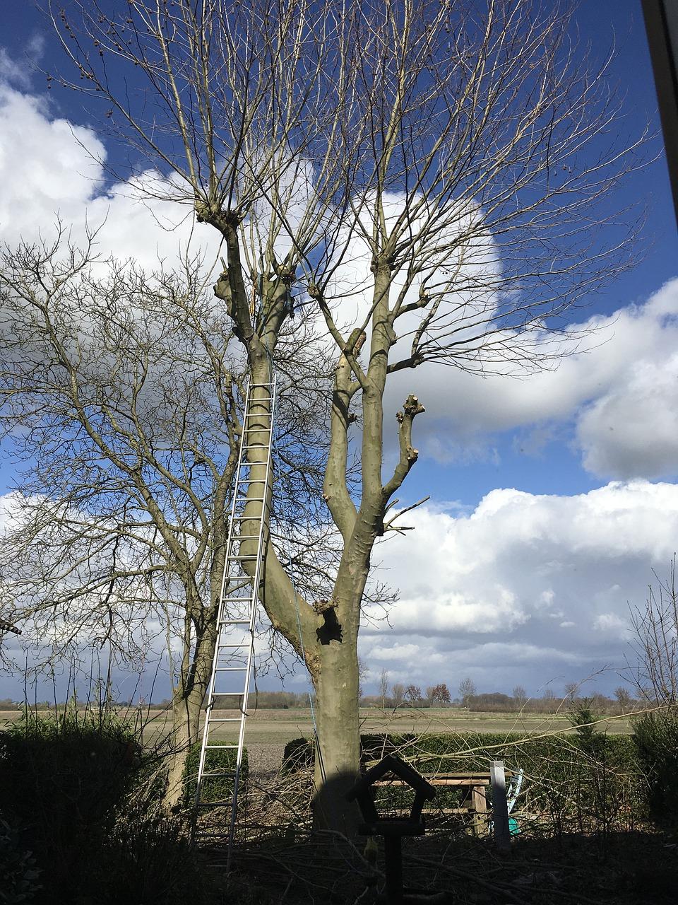 二手房交易流程须知