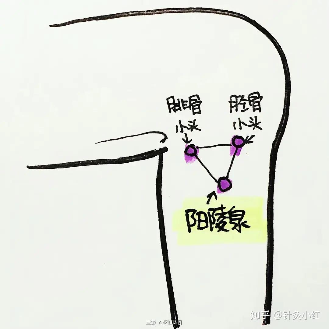 倪海厦针灸课笔记（62）- 临床之膝五针、膀胱经腰骶痛、养老透间使、三间透劳宫、环跳呼吸补法、阳白透鱼腰、太阳透率谷 - 知乎