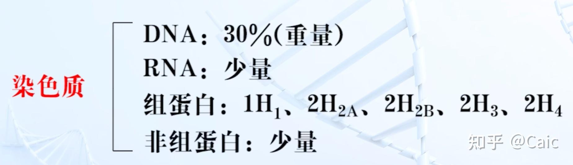 核型/染色体组型 分析染色体长度,着丝粒位置,臂比,随体有无……5.