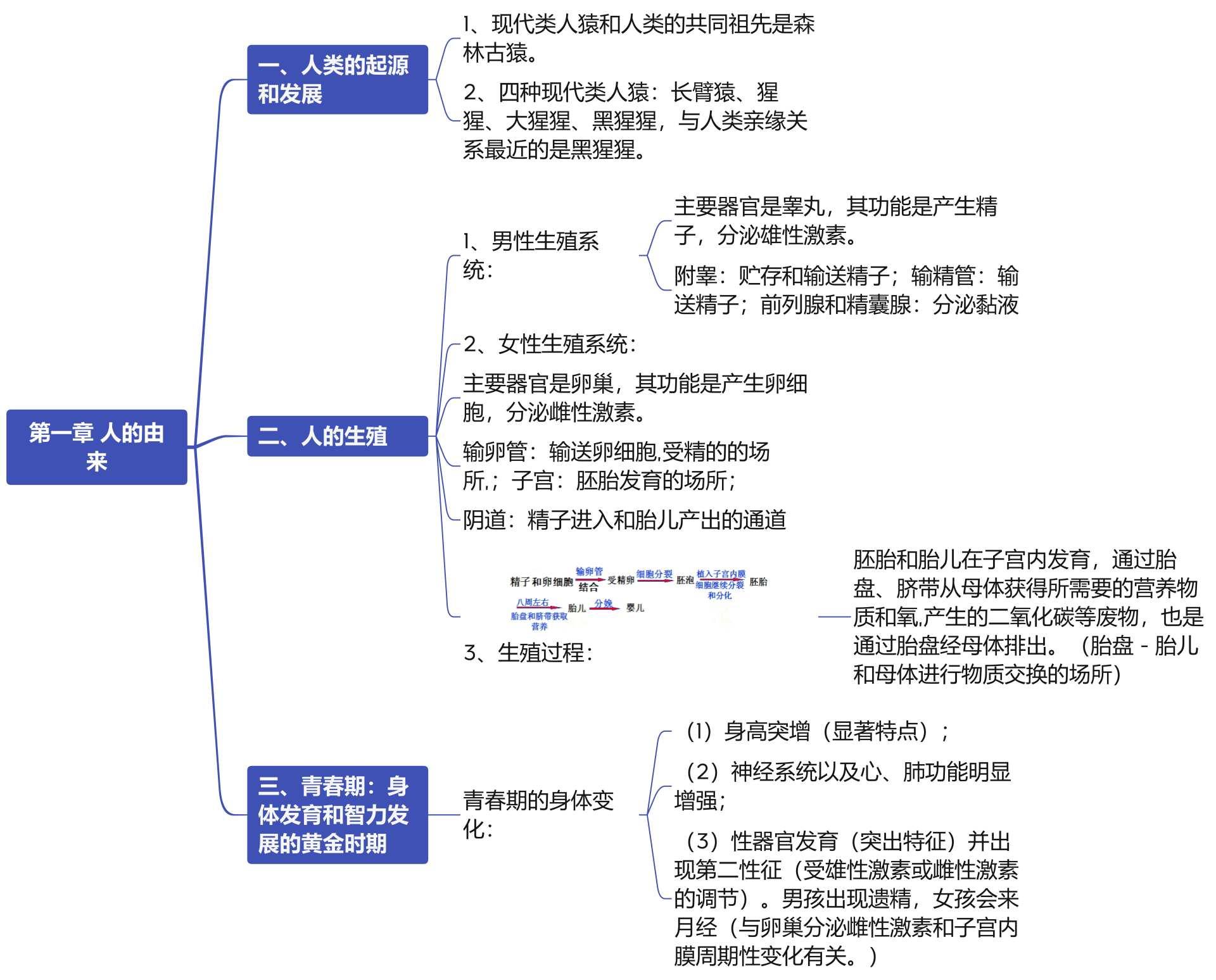 七下生物思维导图全部图片