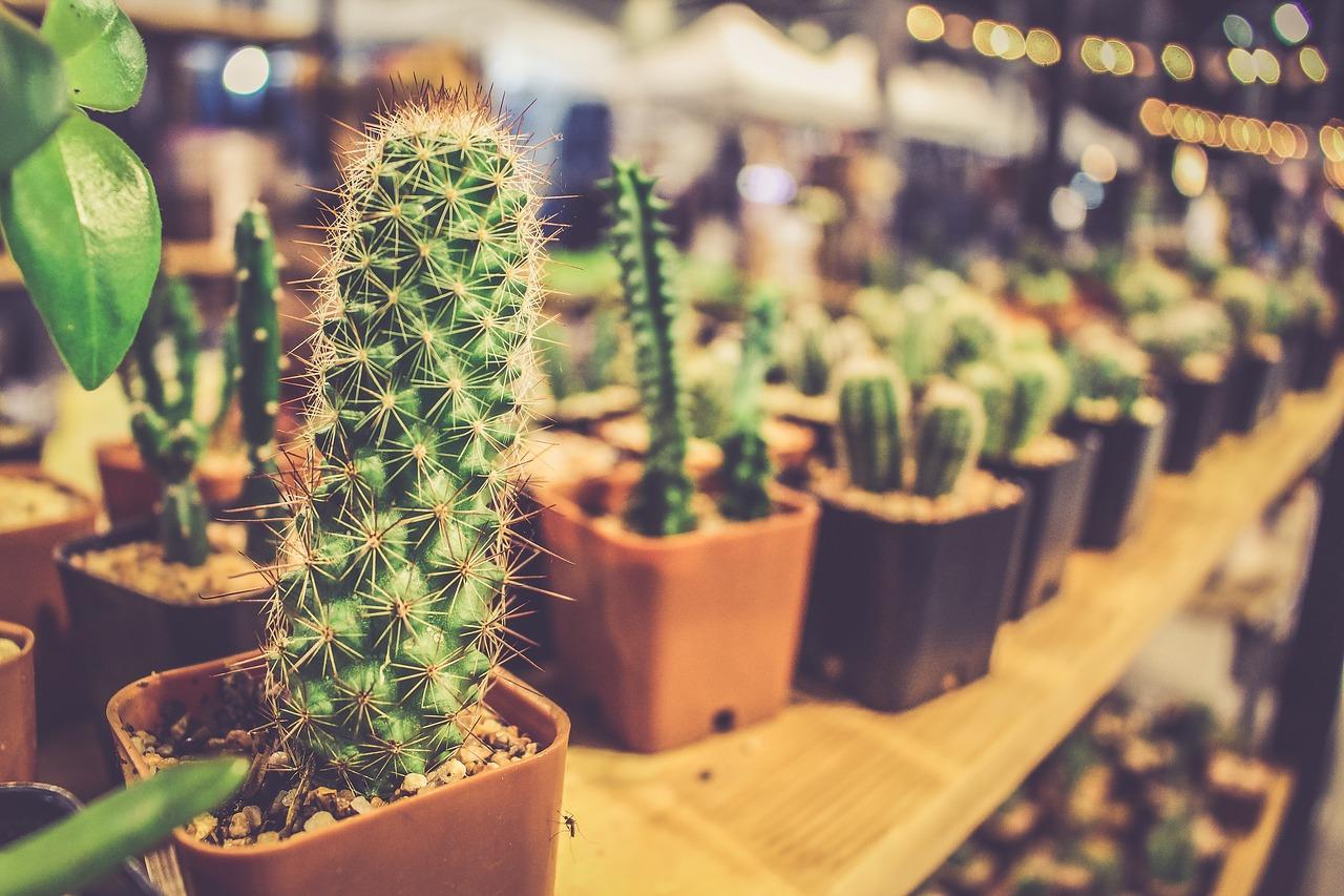 立柱盆清洁保养