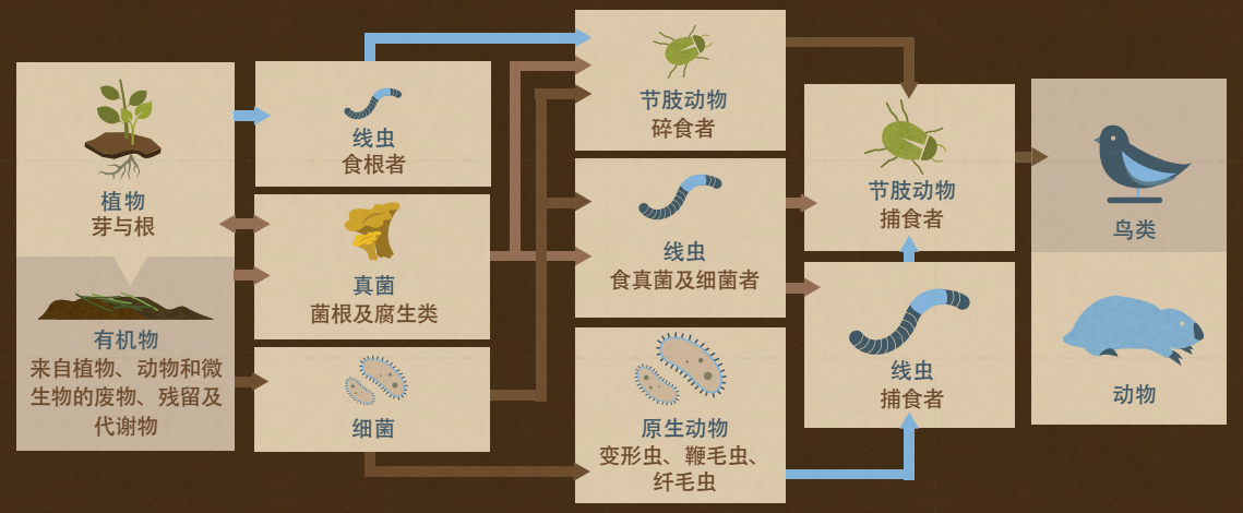 土著微生物土壤的原装发动机