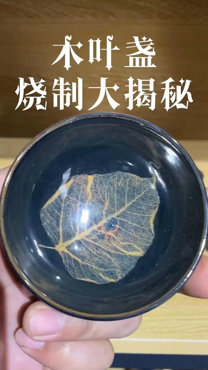 假的木叶盏注水后树叶图片