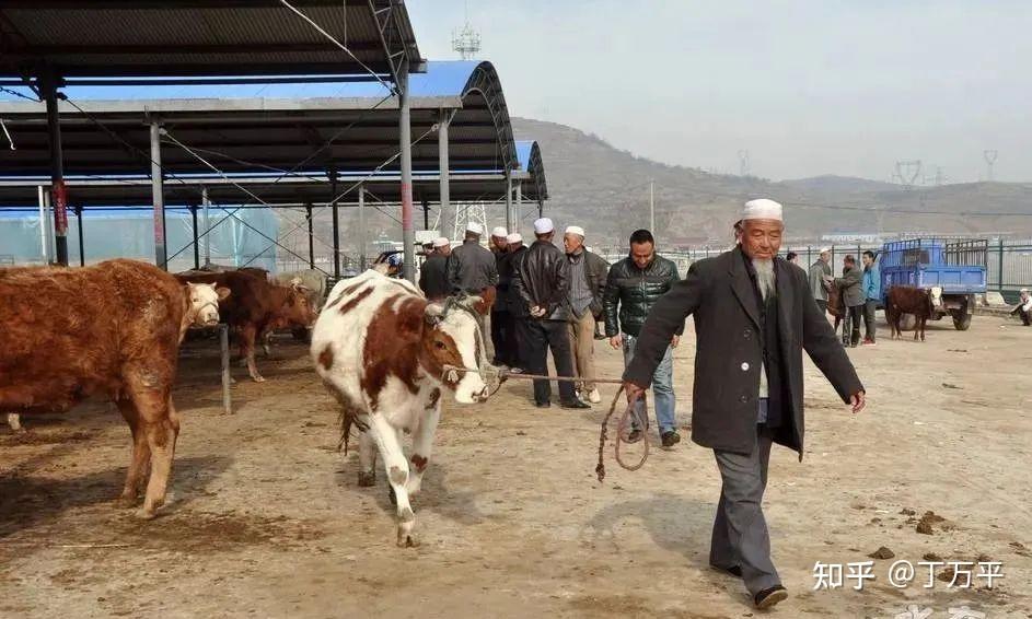 北京大学第六医院、平谷区黄牛票贩子号贩子的简单介绍