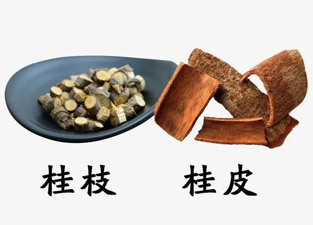 桂皮的化学成分与性质 - 知乎
