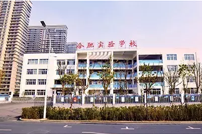 合肥实验学校2006级今年高考成绩及分析