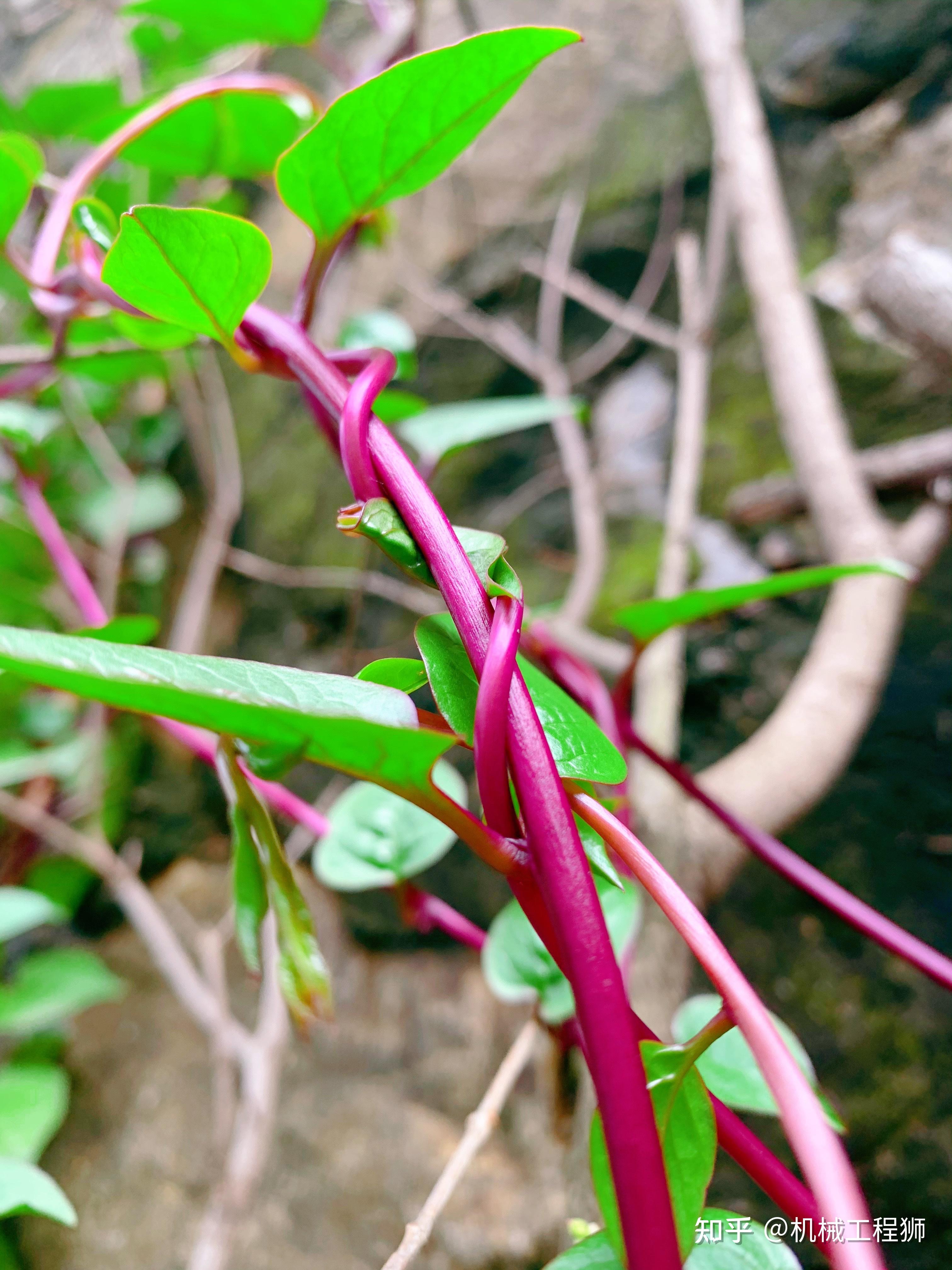 人多了,花草树木少了,让生活没有假如,让地球生命能和谐共处更久.