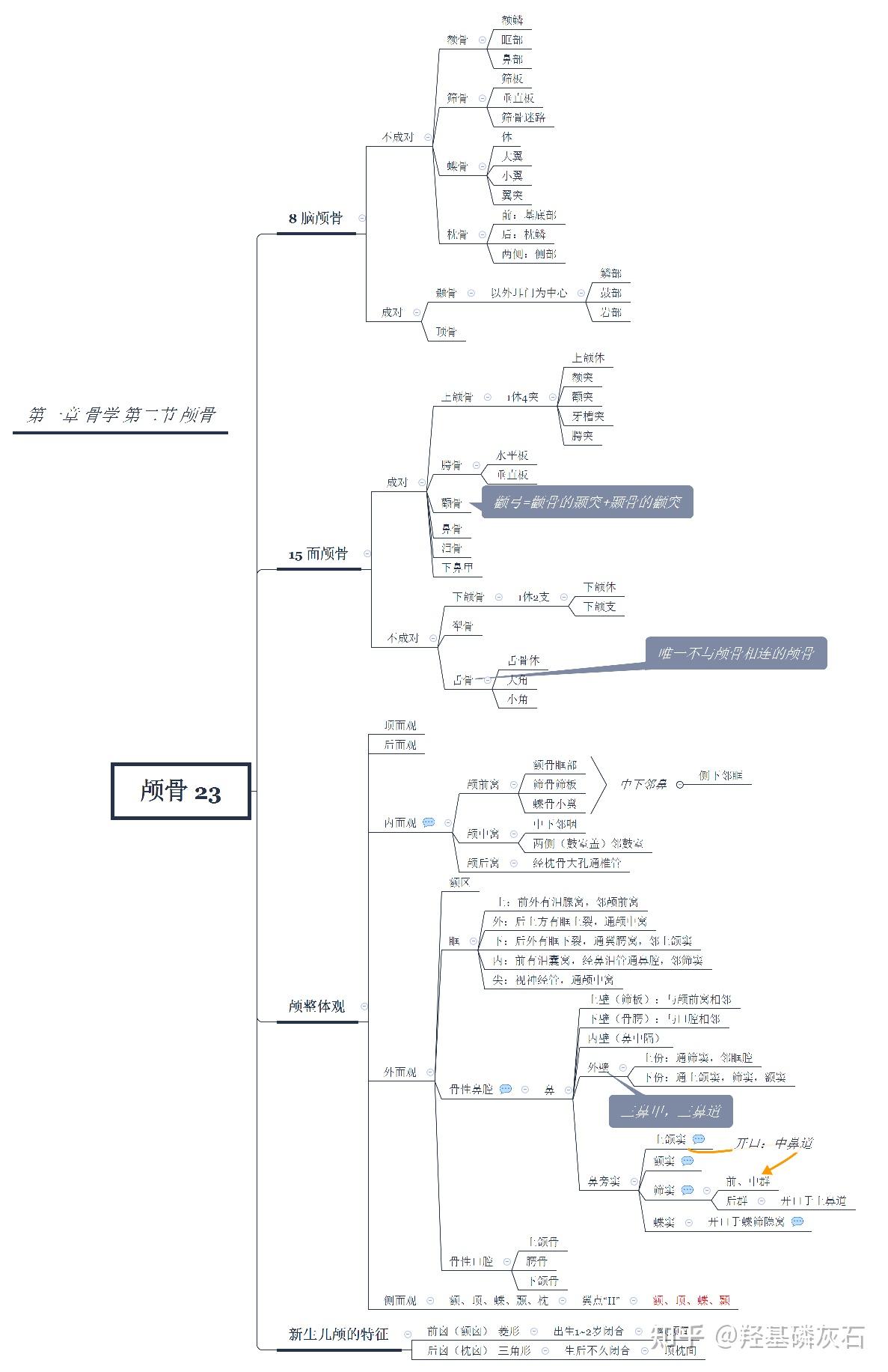 骨学的知识框架图图片