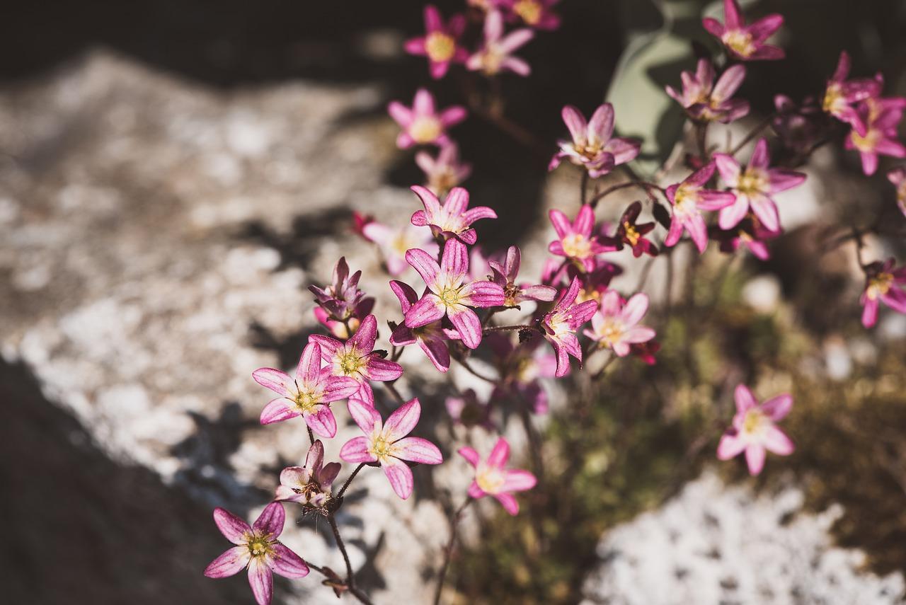 人的标高 重量多少