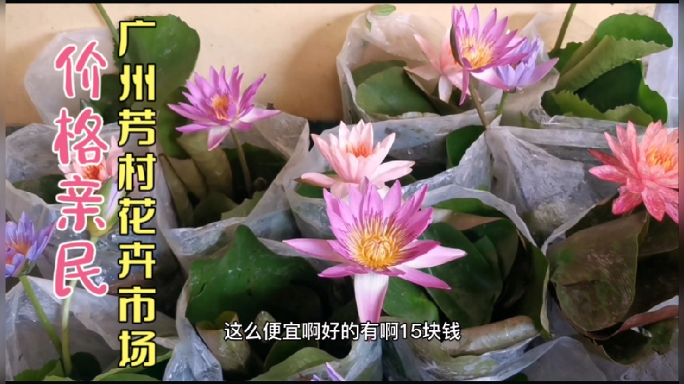 批发花的地方叫什么