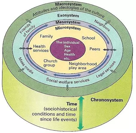 参考了bronfenbrenner提出的ecological system theory(生态系统理论)