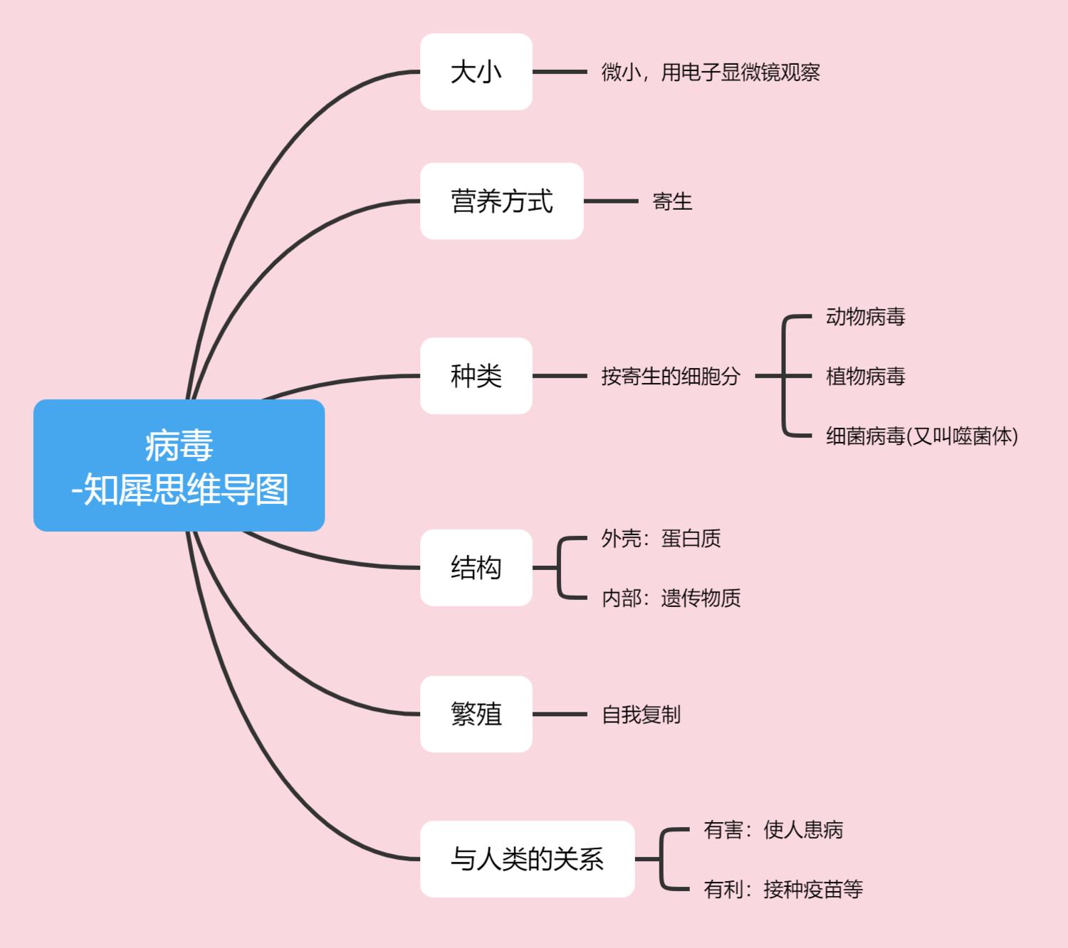 图4上面就是八年级生物上册的思维导图整理了