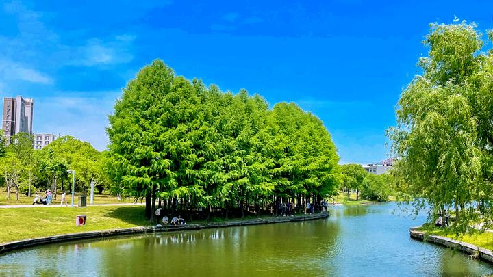 表白墙投稿精选 丰宁一中康诗悦 晨曦高中王雨欣 丰宁一中于童心 高一