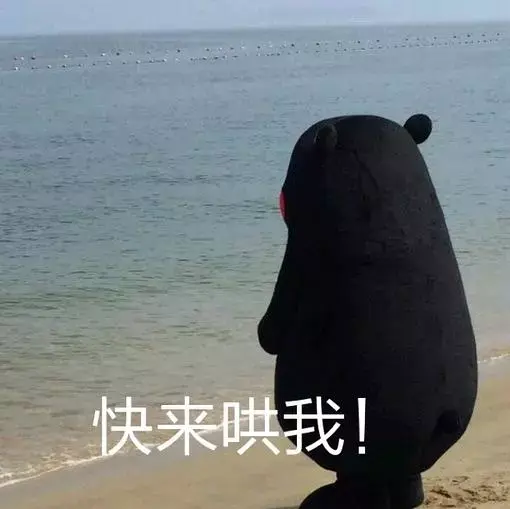 那些支撑我活下去的表情包 - 知乎