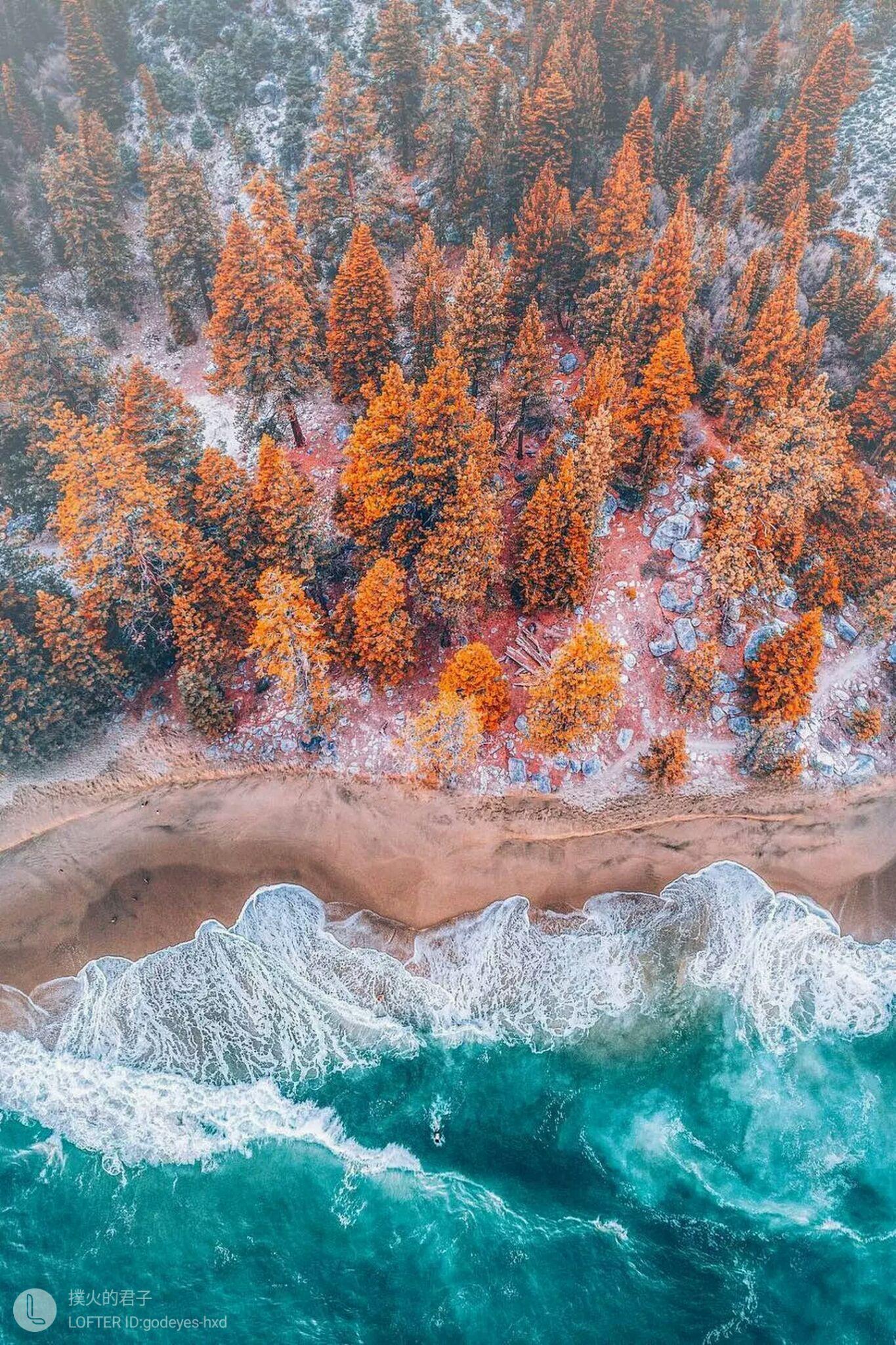 你手机里有什么好看的图片