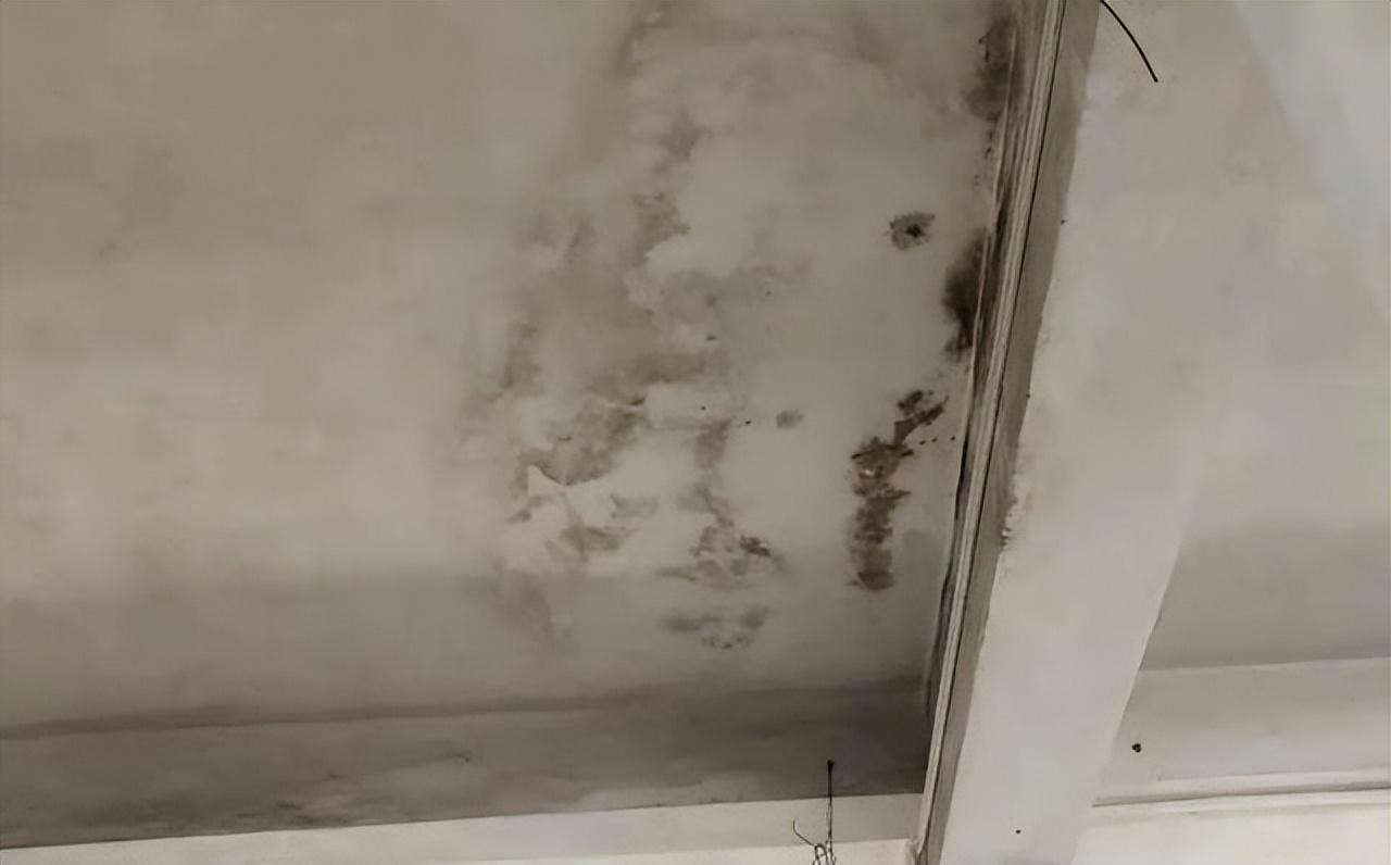 墙面刷新服务丨墙面返潮返碱起鼓长毛怎么办? - 知乎