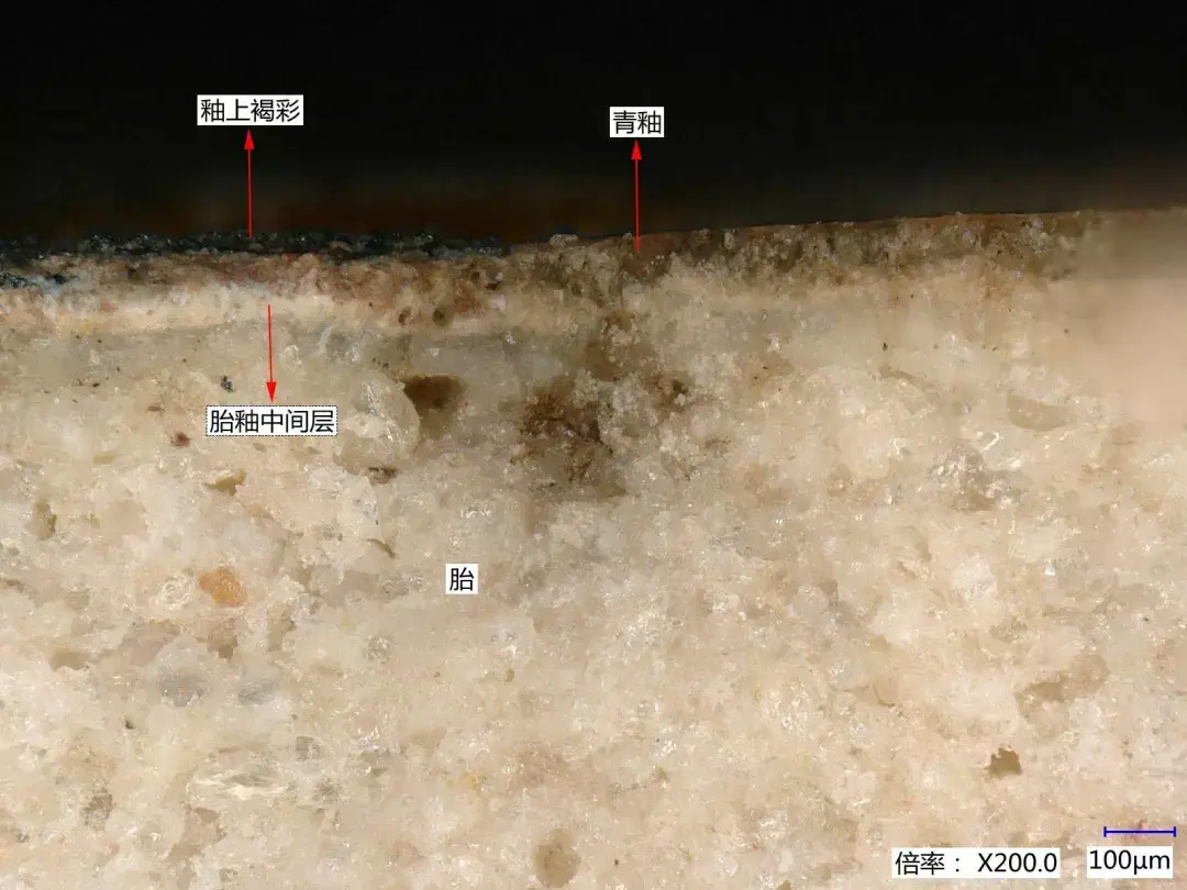 图五  胎上褐彩图四  胎釉中间层图三  青釉露胎褐彩残片试举一例.