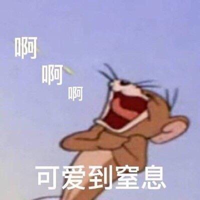 鼠鼠沙雕文案,沙雕老鼠