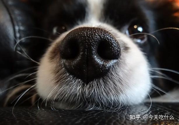 看下是不是"瓦盖鼻"