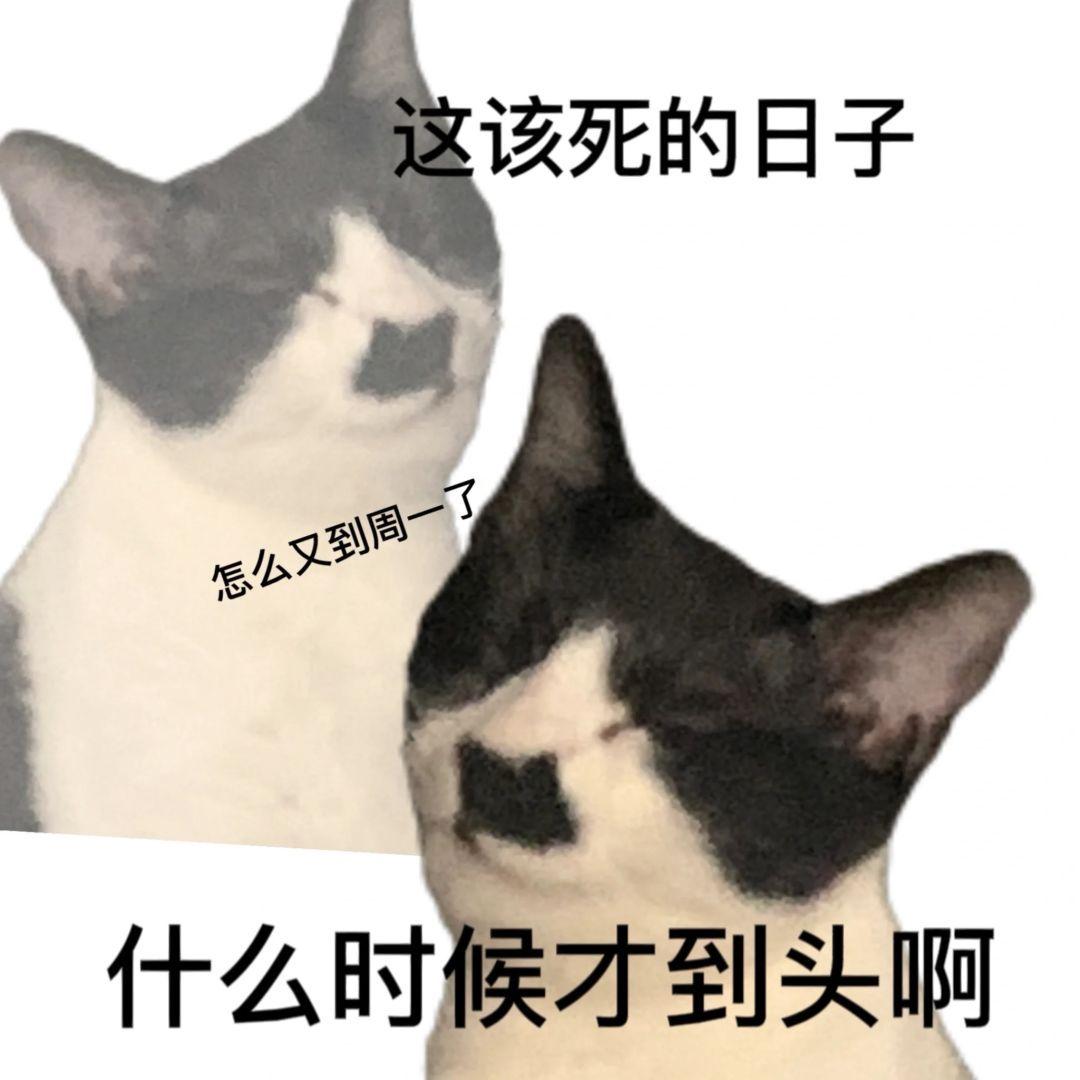 分享一组职场表情包 - 知乎