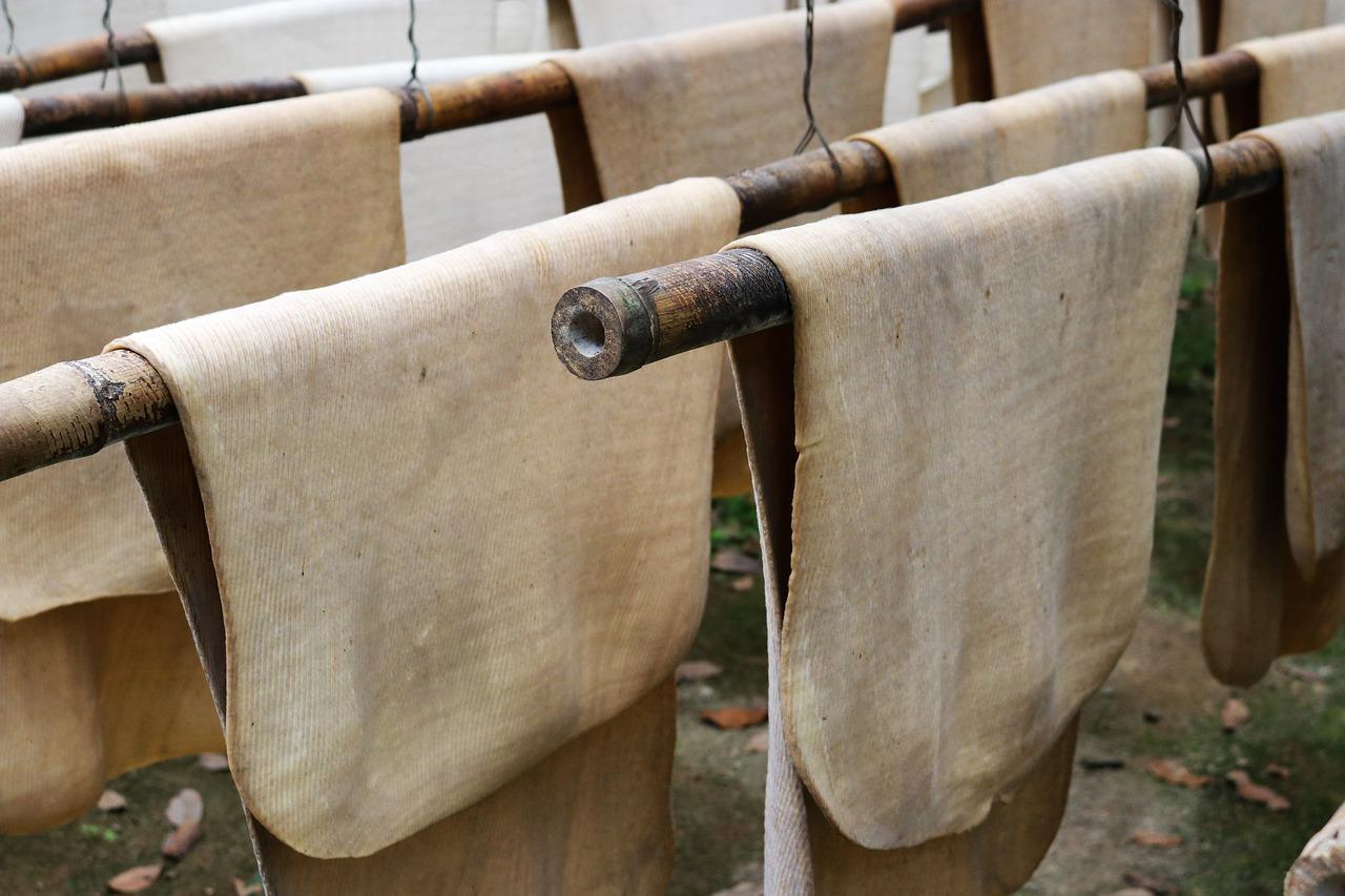 2. 橡胶树种植地