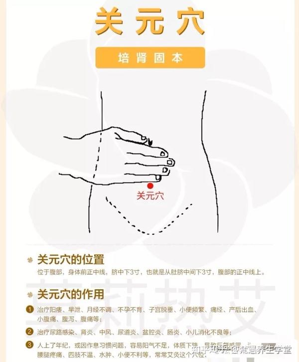 关元穴 - 知乎