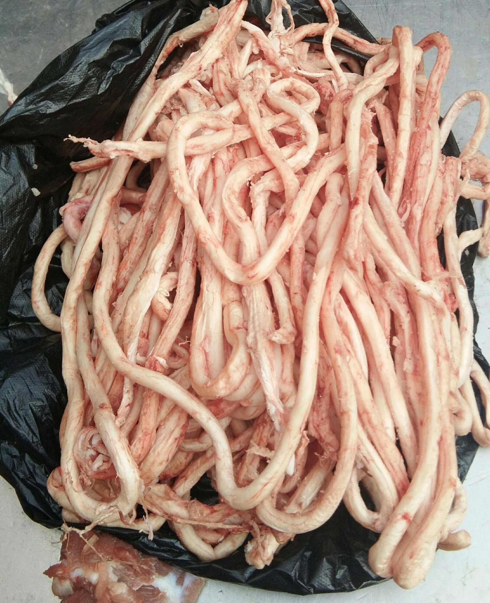 今天熬汤猪骨头的骨髓是绿色的这猪怎么了