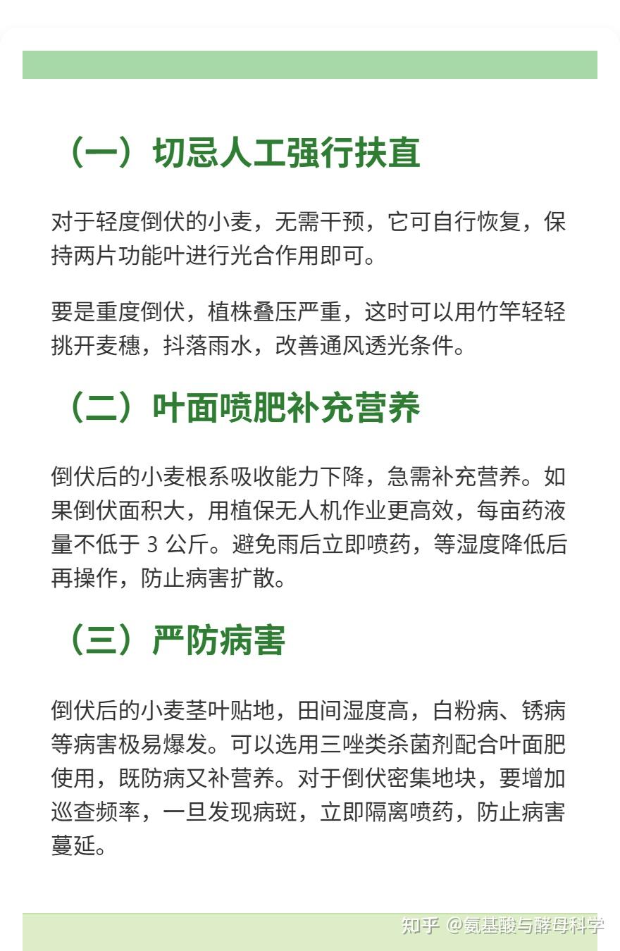 速看!大风后农作物倒伏,这些抢救要点能减损 - 知乎