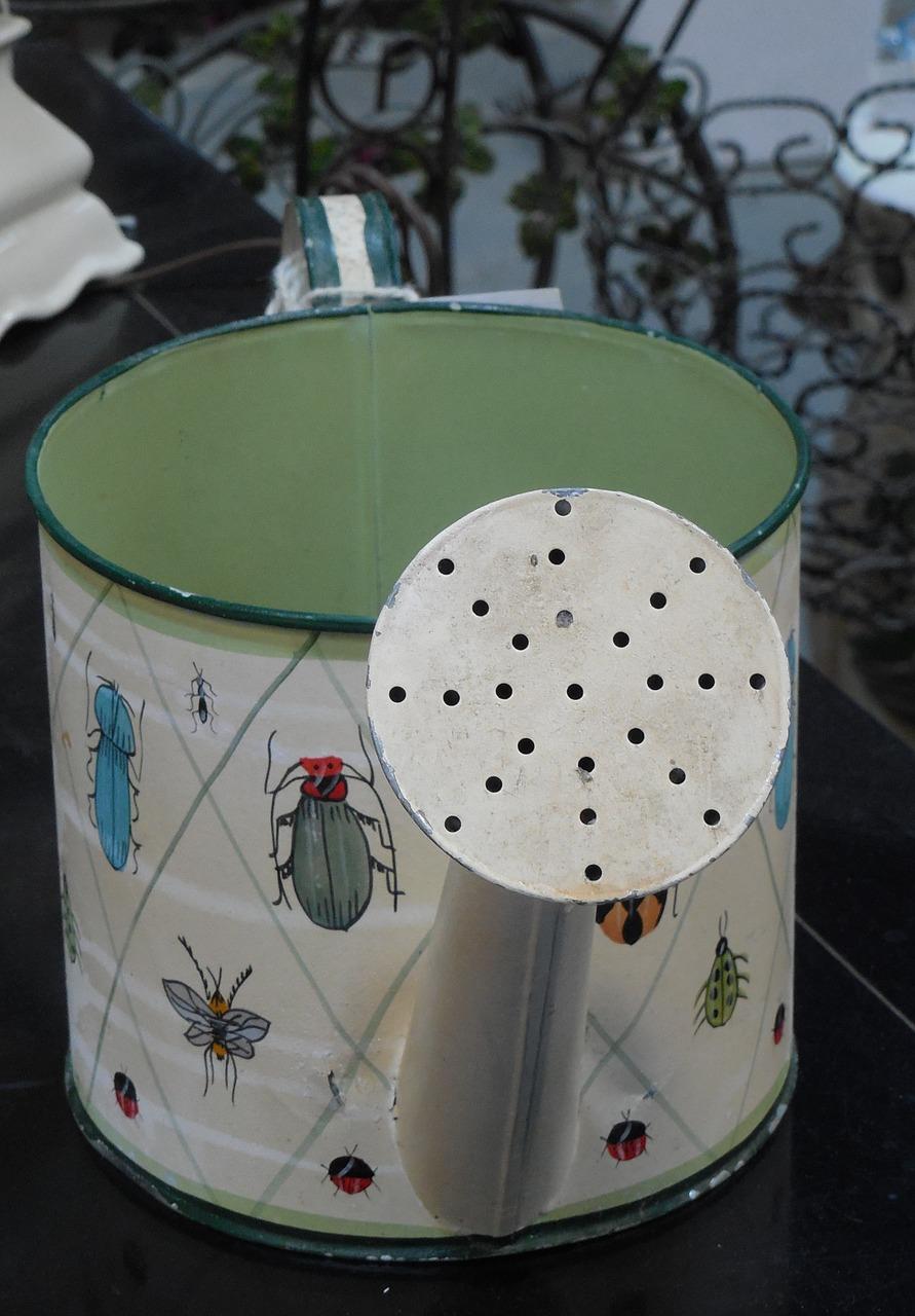 叶面浇水什么作用