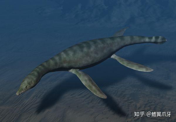 远古の鳍菱龙科小传命若浮浪终于沉沙