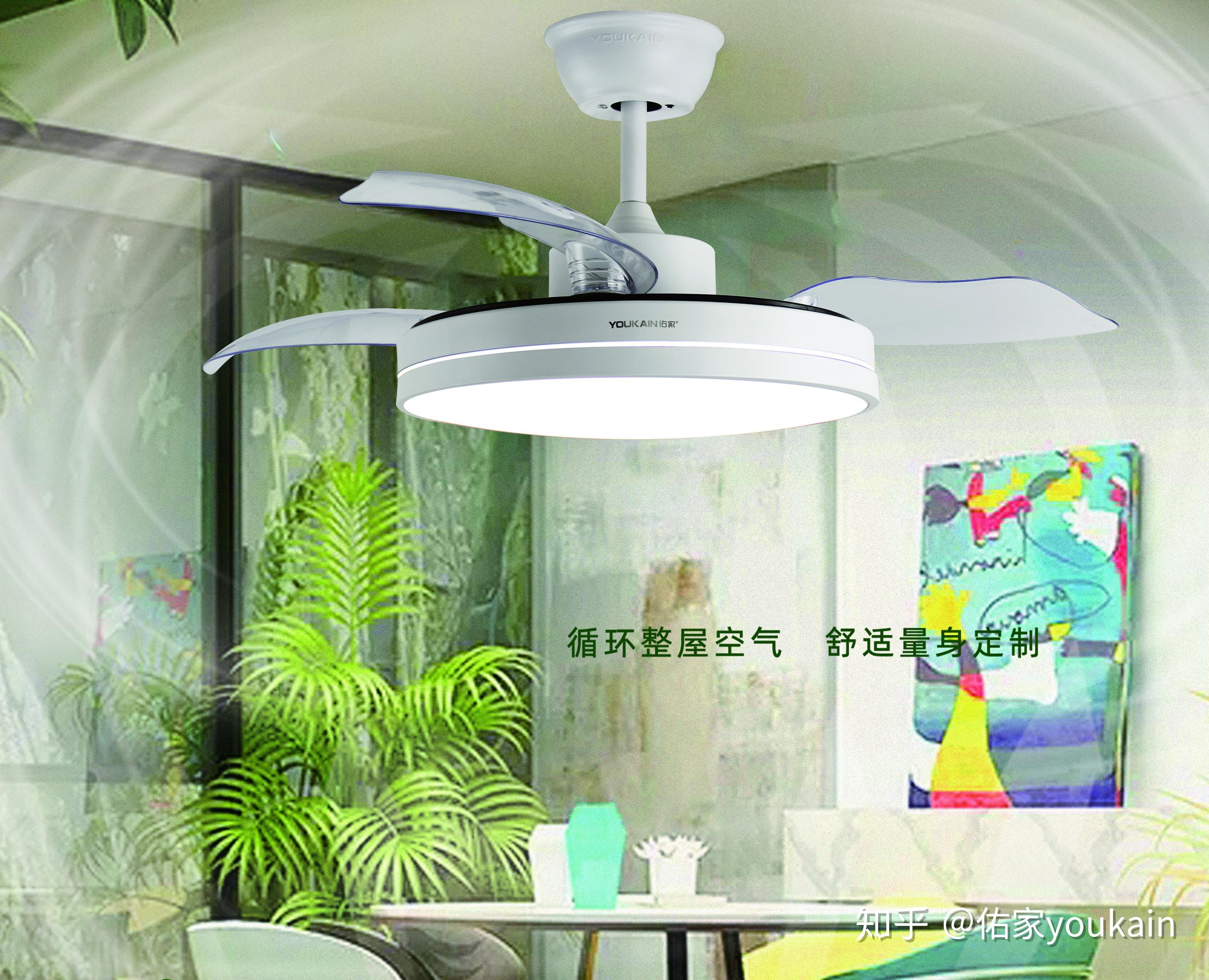 家里有小孩或老人的,房间没有对流空气的,容易潮湿发霉的,房子装修