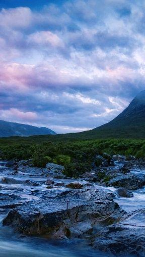 蓝蓝的天空郁郁葱葱的大树呼吸着清新的空气太美了