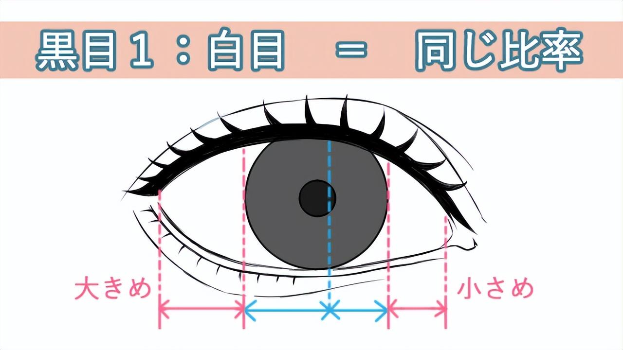 注意到虹彩和瞳孔的方向和大小