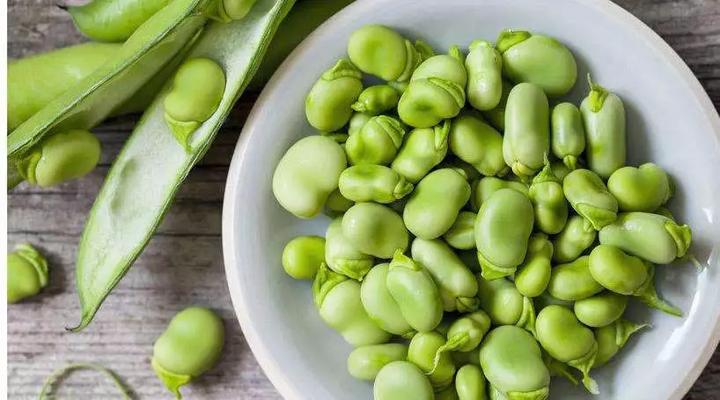 痛风能吃蚕豆吗